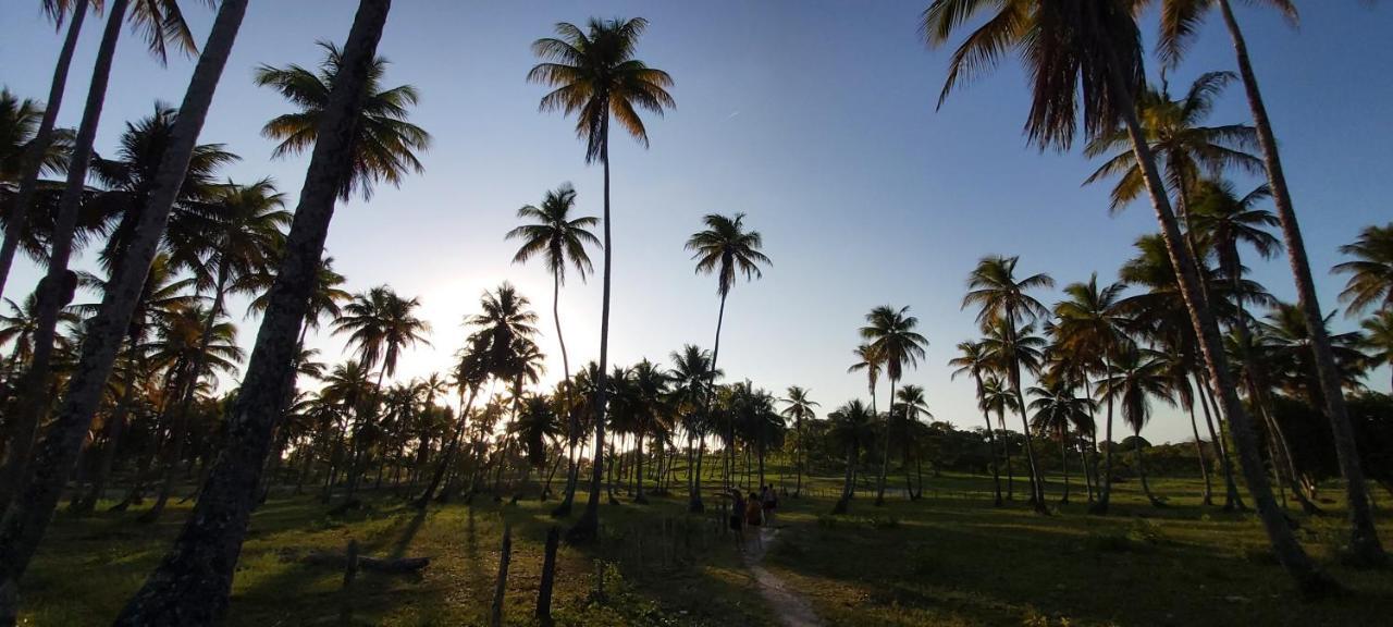 Pousada Casa Da Edinha Velha Boipeba Esterno foto